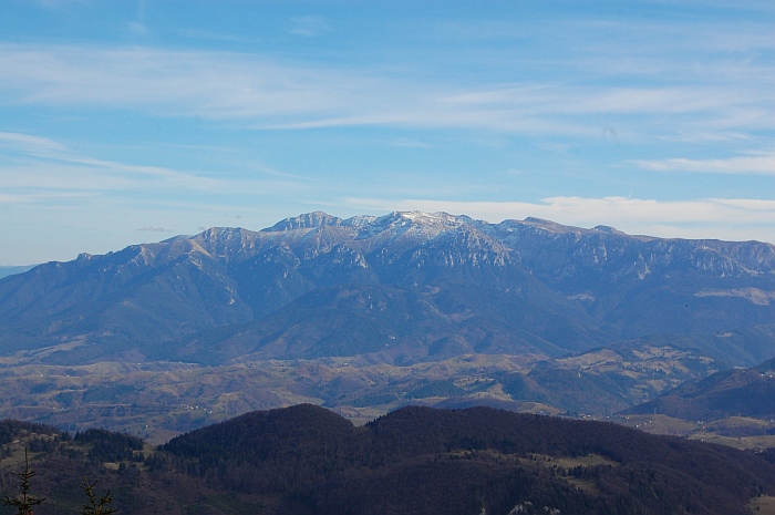 /ppc/dsc_0204.jpg
