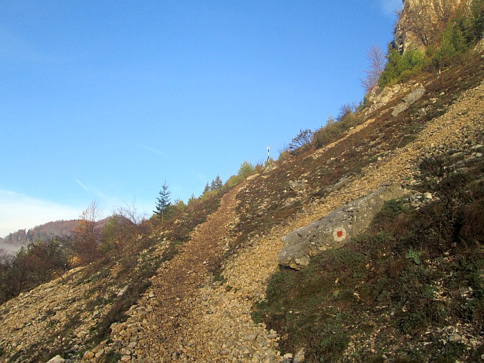 /ppc/img_6101.jpg