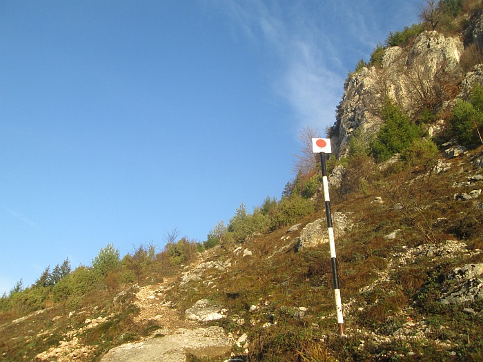 /ppc/img_6102.jpg