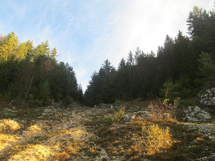 /ppc/img_6106.jpg