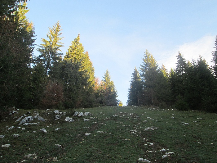 /ppc/img_6122.jpg