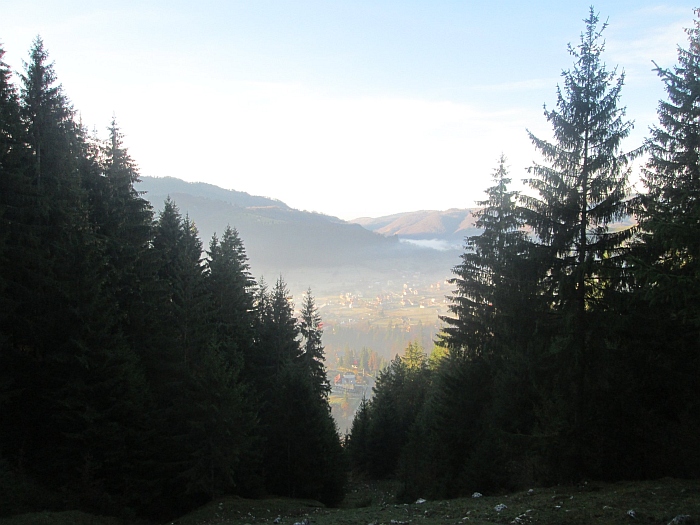 /ppc/img_6123.jpg