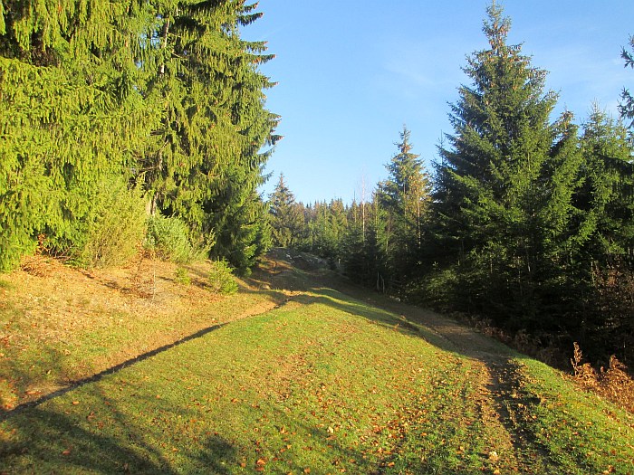 /ppc/img_6126.jpg