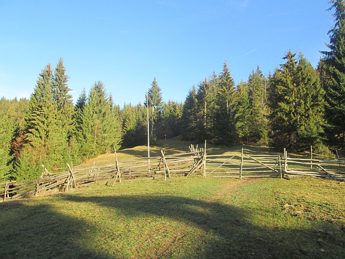 /ppc/img_6128.jpg