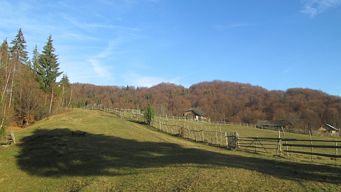/ppc/img_6132.jpg