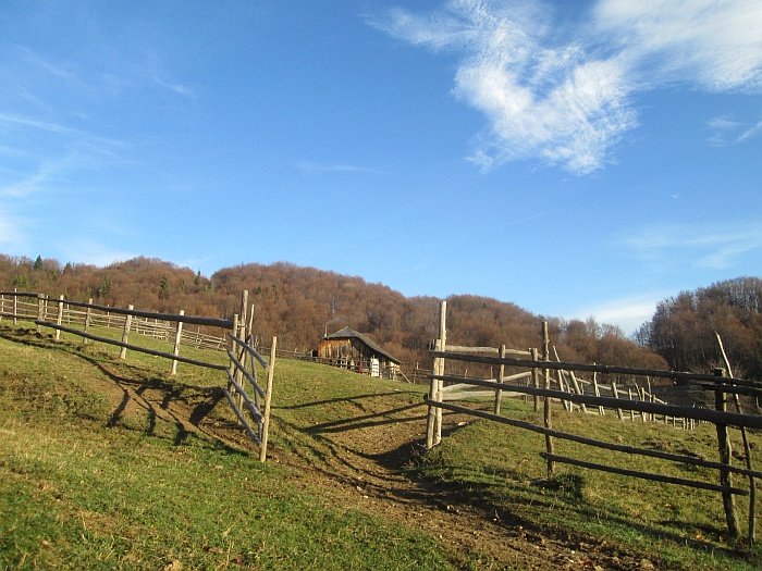 /ppc/img_6133.jpg