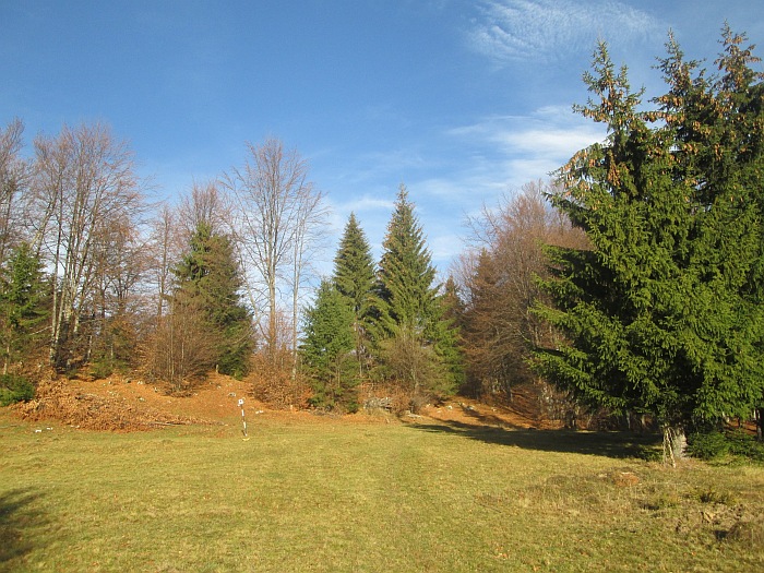 /ppc/img_6140.jpg