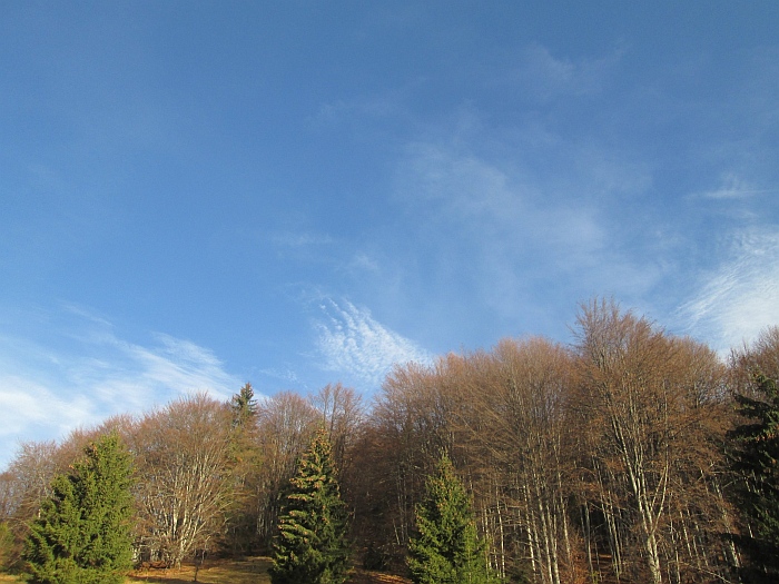 /ppc/img_6142.jpg