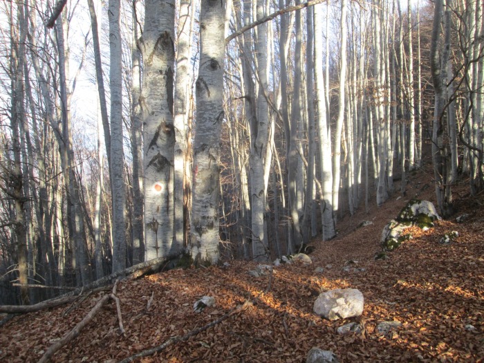 /ppc/img_6143.jpg