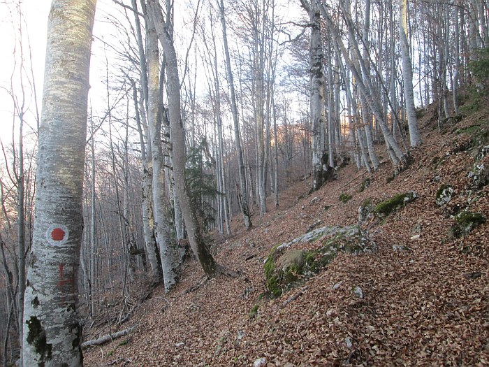 /ppc/img_6146.jpg