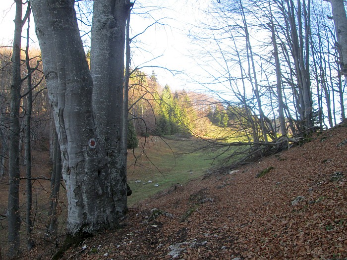 /ppc/img_6147.jpg