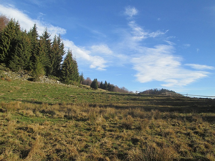 /ppc/img_6150.jpg