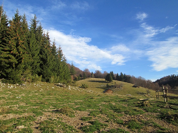 /ppc/img_6152.jpg