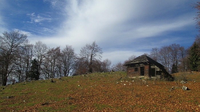 /ppc/img_6192.jpg