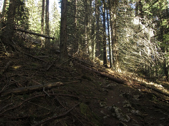 /ppc/img_6263.jpg