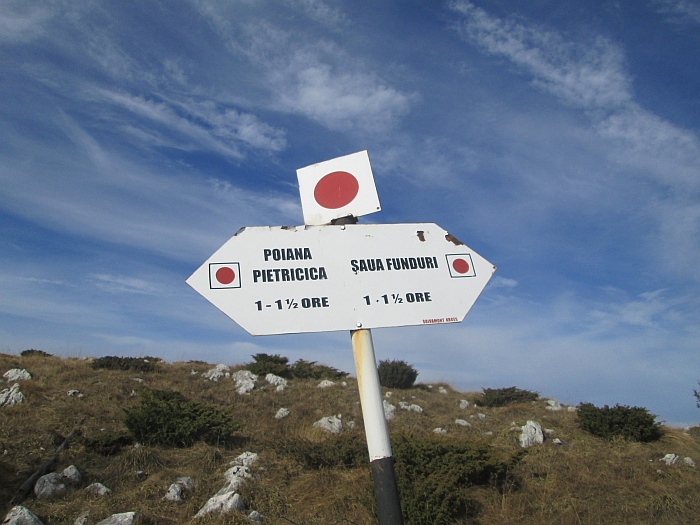 /ppc/img_6290.jpg