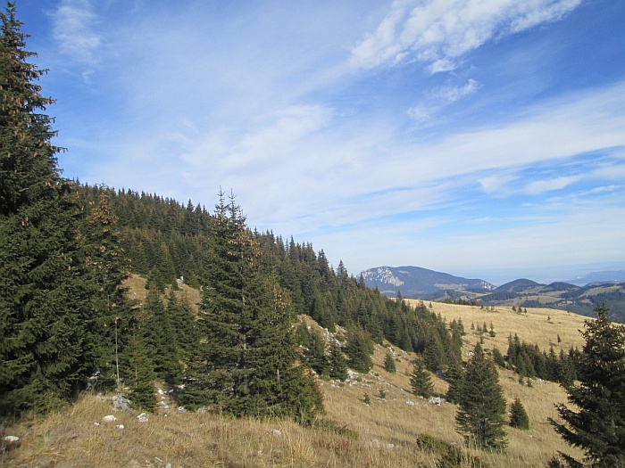 /ppc/img_6332.jpg