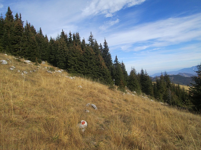 /ppc/img_6334.jpg
