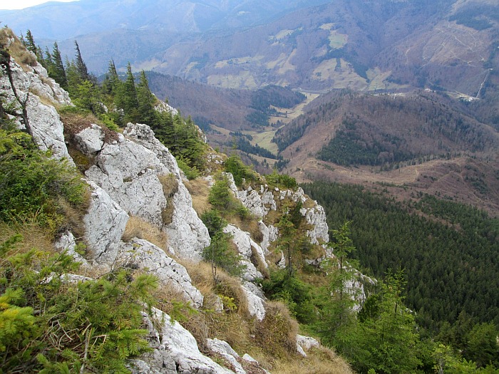 /ppc/img_6350.jpg