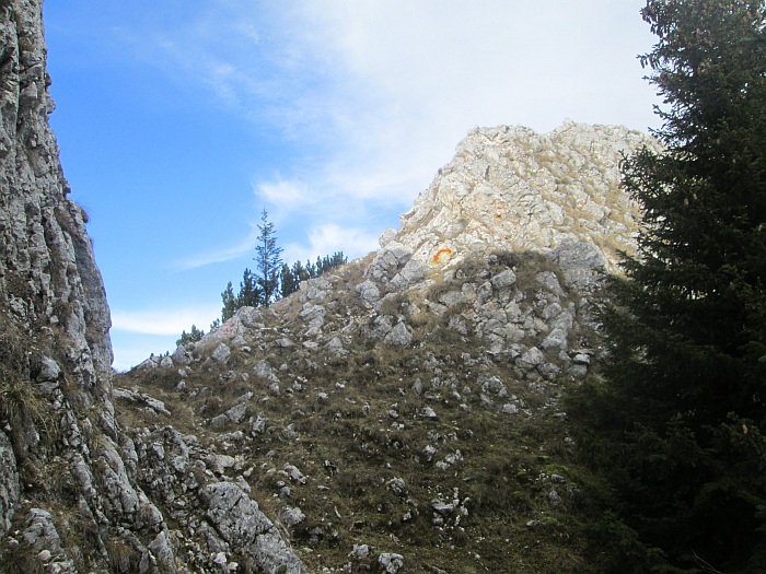 /ppc/img_6359.jpg