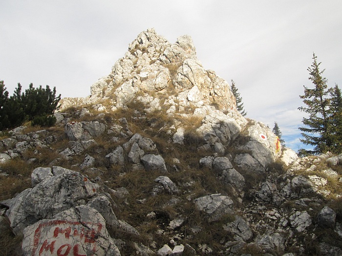 /ppc/img_6362.jpg