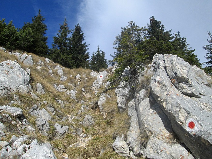 /ppc/img_6368.jpg
