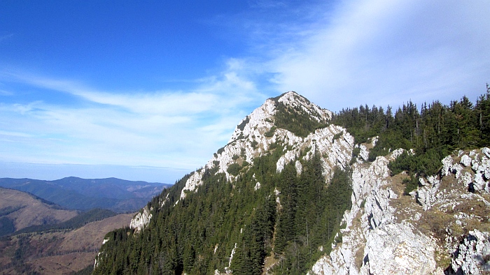 /ppc/img_6374.jpg