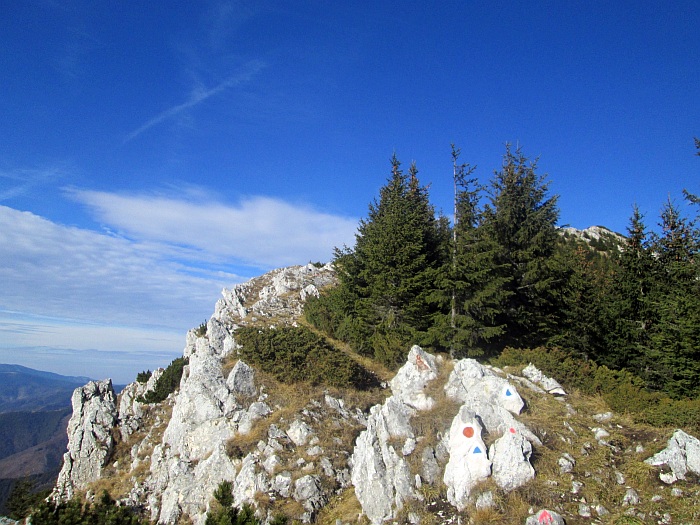 /ppc/img_6383.jpg