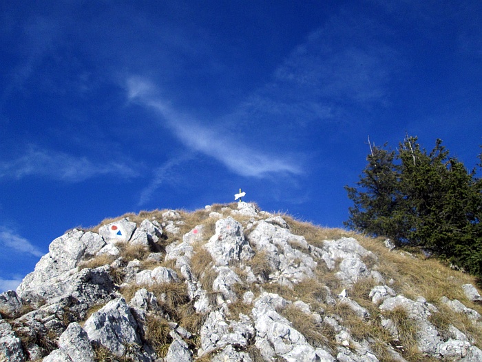 /ppc/img_6388.jpg