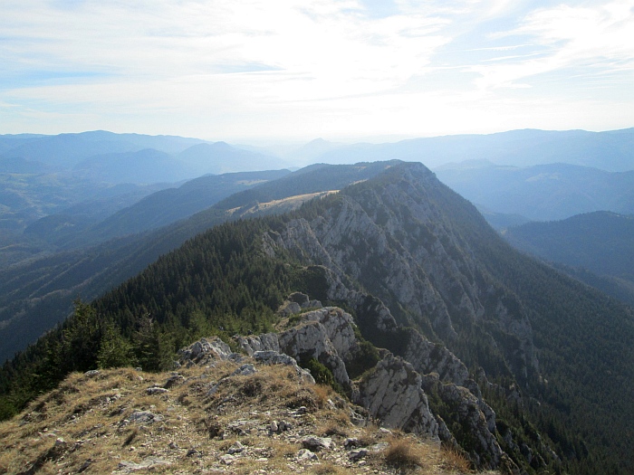 /ppc/img_6389.jpg