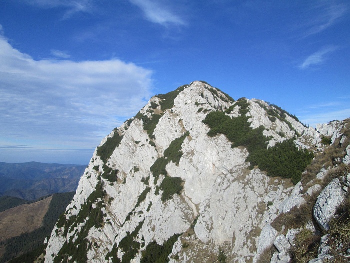 /ppc/img_6392.jpg