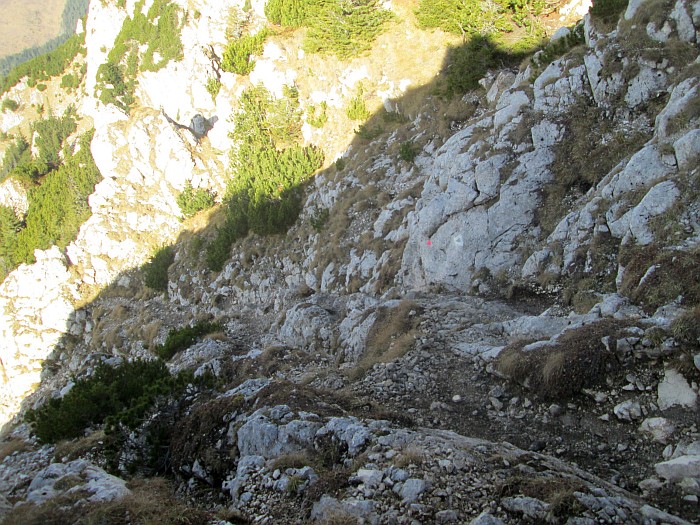 /ppc/img_6398.jpg