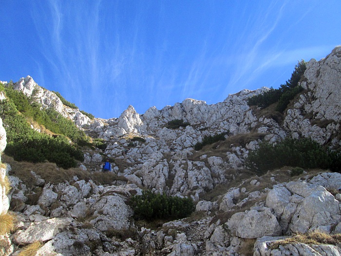 /ppc/img_6402.jpg
