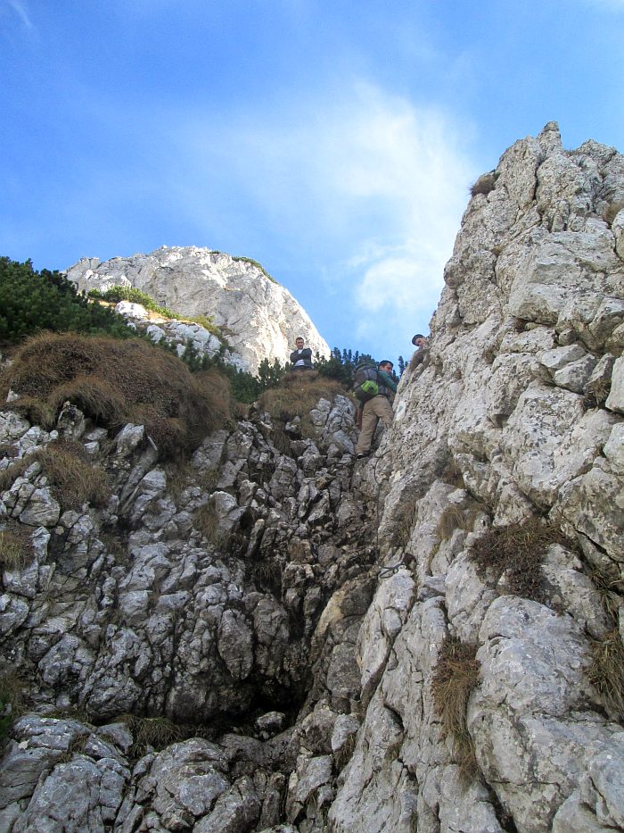 /ppc/img_6409.jpg