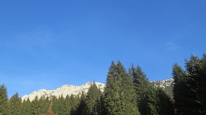 /ppc/img_6437.jpg
