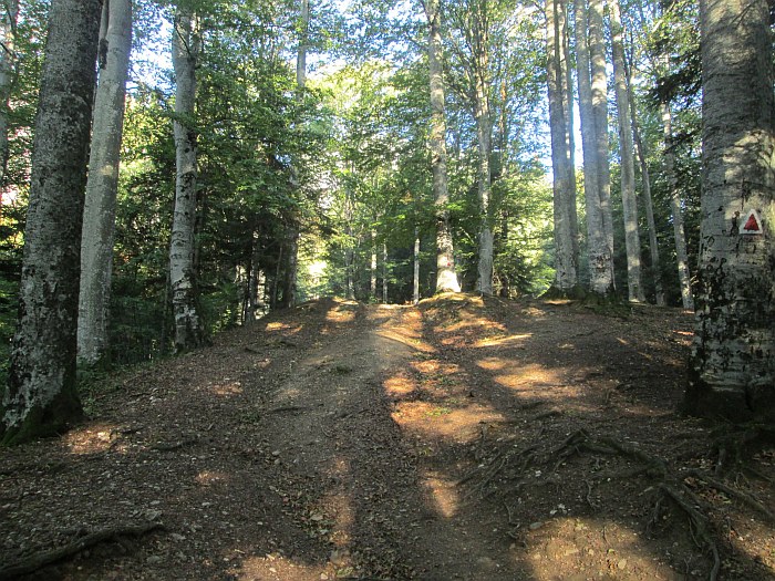 /pripon/img_2685.jpg