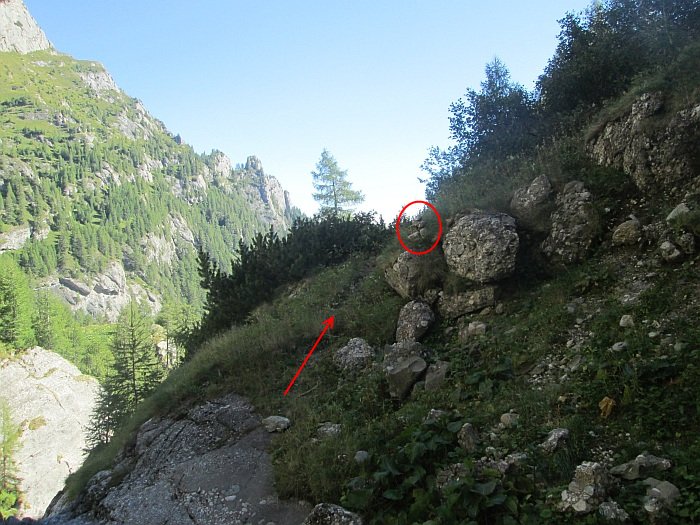 /pripon/img_2716.jpg