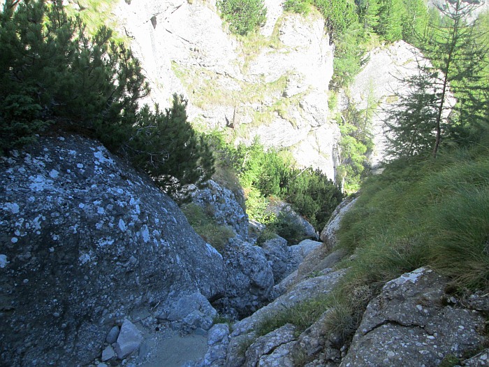 /pripon/img_2717.jpg
