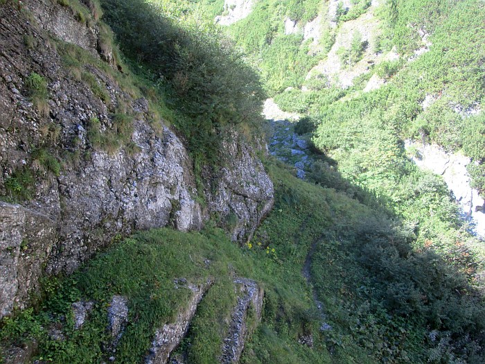 /pripon/img_2724.jpg