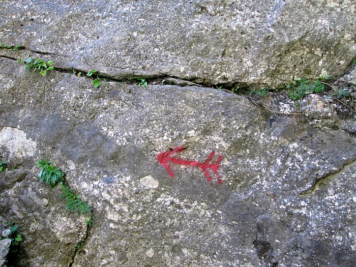 /pripon/img_2734.jpg