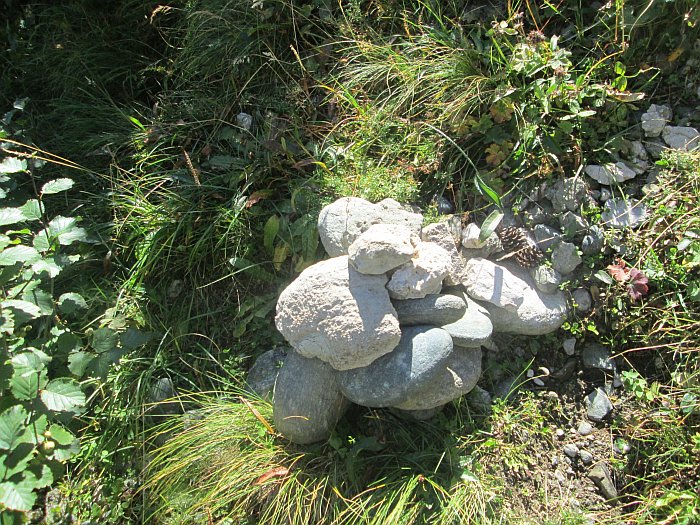 /pripon/img_2753.jpg