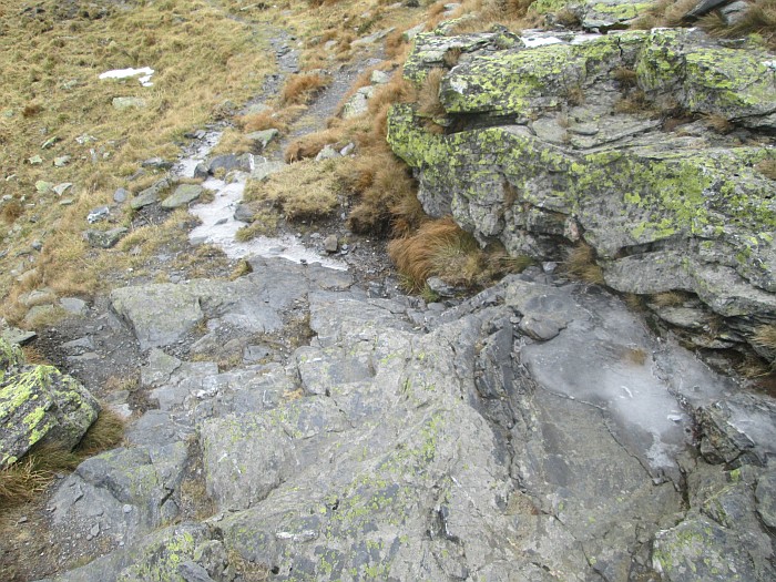 /rodnei/img_3839.jpg