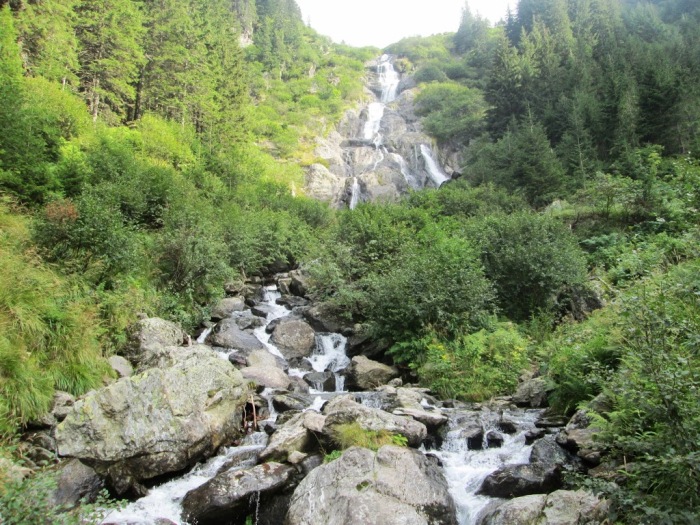 /serbota/img_2371.jpg