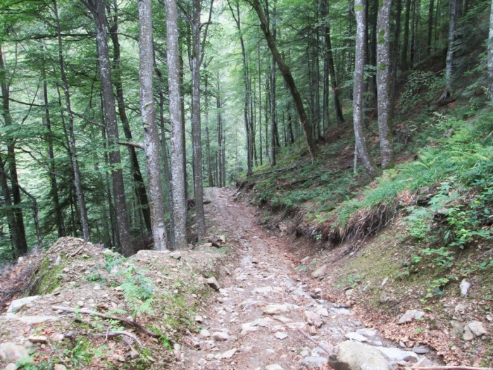 /serbota/img_2381.jpg