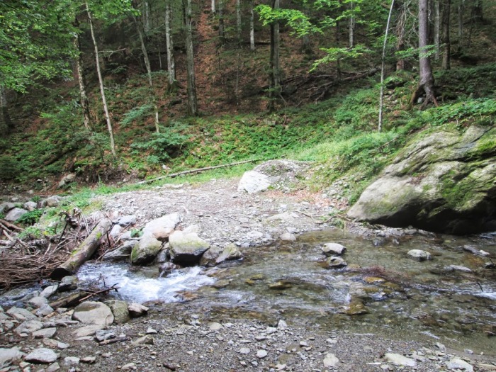 /serbota/img_2382.jpg