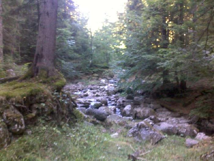 /vmorar/08092012028-800x600.jpg