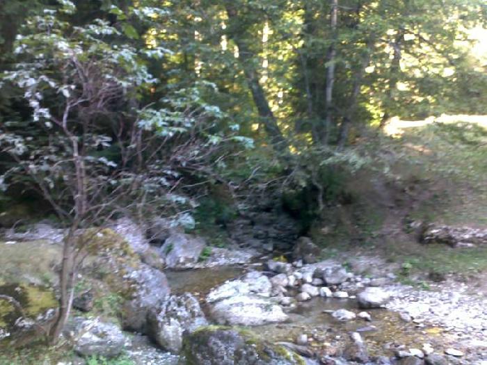 /vmorar/08092012034-800x600.jpg