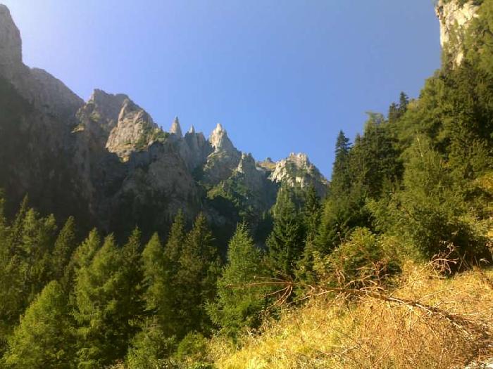 /vmorar/08092012065-800x600.jpg