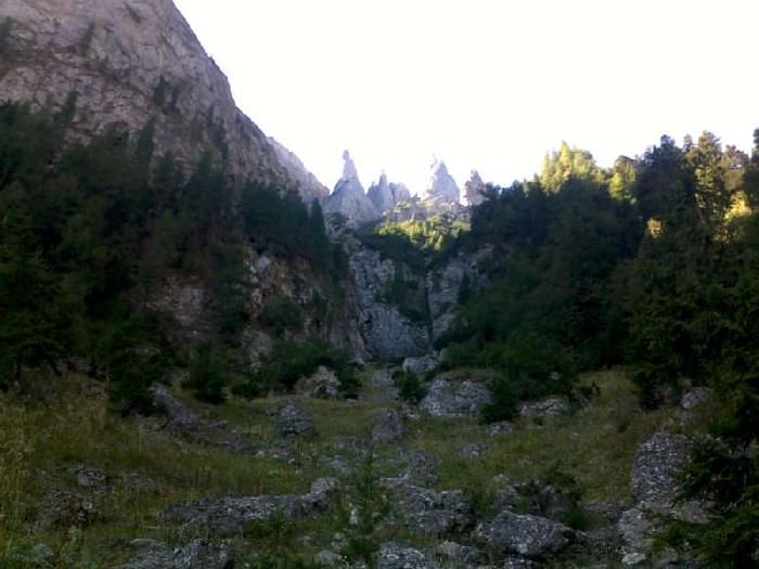 /vmorar/08092012074-800x600.jpg