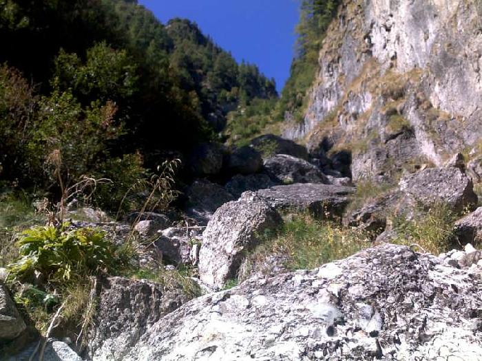 /vmorar/08092012086-800x600.jpg